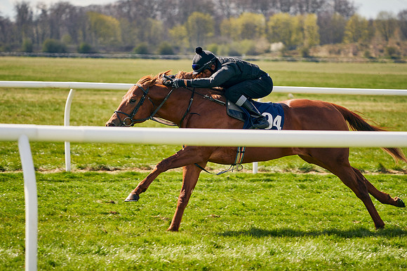 2021-04-12-Dominic-James-Craven-Breeze-Up-Sales-1160