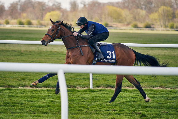 2021-04-12-Dominic-James-Craven-Breeze-Up-Sales-1248