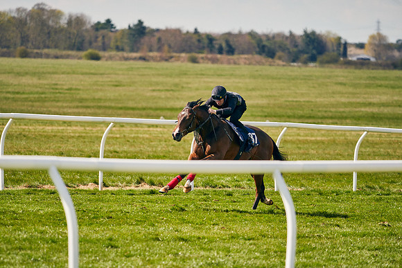 2021-04-12-Dominic-James-Craven-Breeze-Up-Sales-1139