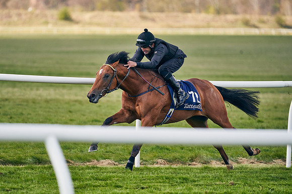 2021-04-12-Dominic-James-Craven-Breeze-Up-Sales-1235
