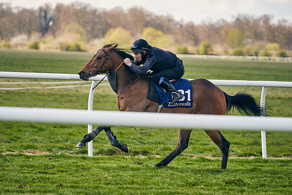 2021-04-12-Dominic-James-Craven-Breeze-Up-Sales-1210