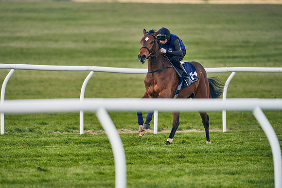 2021-04-12-Dominic-James-Craven-Breeze-Up-Sales-1246