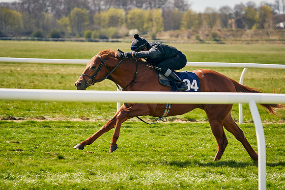 2021-04-12-Dominic-James-Craven-Breeze-Up-Sales-1159