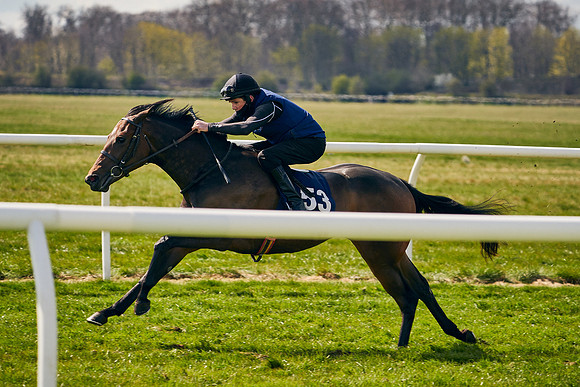 2021-04-12-Dominic-James-Craven-Breeze-Up-Sales-1126