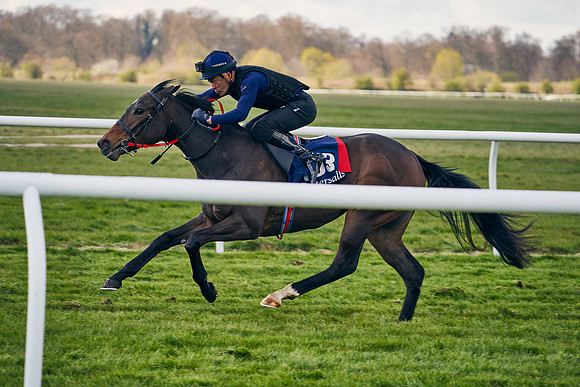 2021-04-12-Dominic-James-Craven-Breeze-Up-Sales-1262