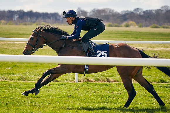 2021-04-12-Dominic-James-Craven-Breeze-Up-Sales-1104