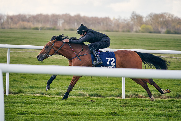 2021-04-12-Dominic-James-Craven-Breeze-Up-Sales-1239