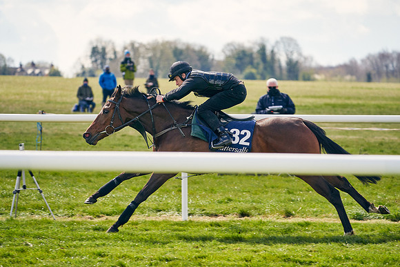 2021-04-12-Dominic-James-Craven-Breeze-Up-Sales-1093
