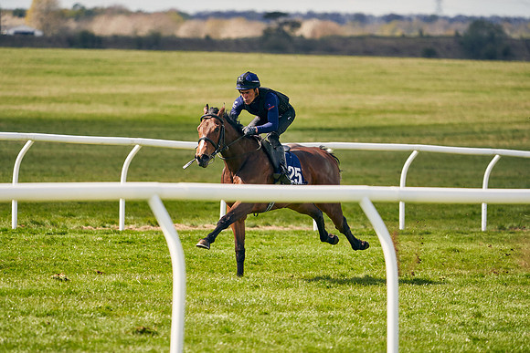 2021-04-12-Dominic-James-Craven-Breeze-Up-Sales-1099