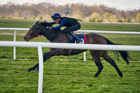 2021-04-12-Dominic-James-Craven-Breeze-Up-Sales-1263