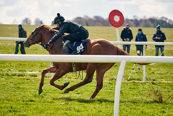 2021-04-12-Dominic-James-Craven-Breeze-Up-Sales-1162