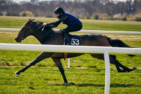 2021-04-12-Dominic-James-Craven-Breeze-Up-Sales-1131