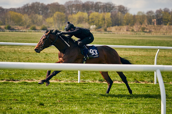 2021-04-12-Dominic-James-Craven-Breeze-Up-Sales-1187