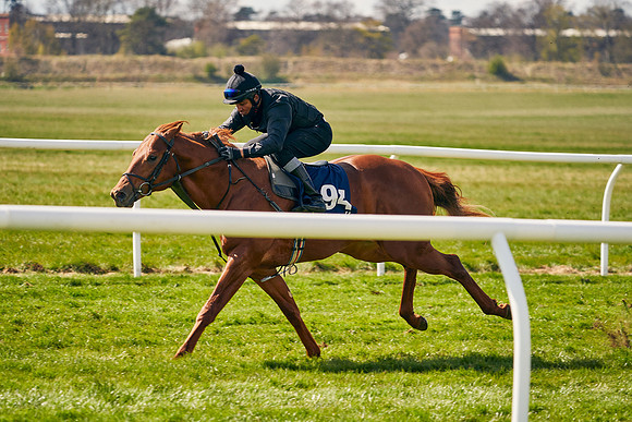 2021-04-12-Dominic-James-Craven-Breeze-Up-Sales-1157