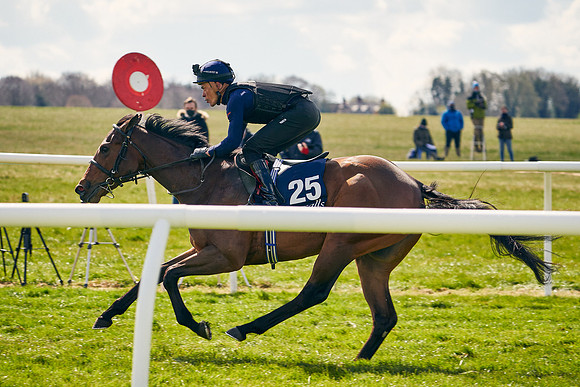 2021-04-12-Dominic-James-Craven-Breeze-Up-Sales-1107