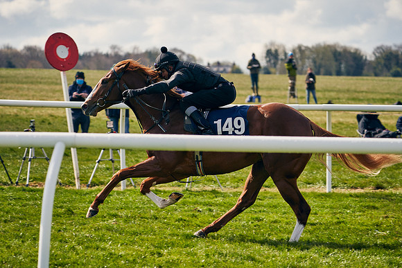 2021-04-12-Dominic-James-Craven-Breeze-Up-Sales-1201