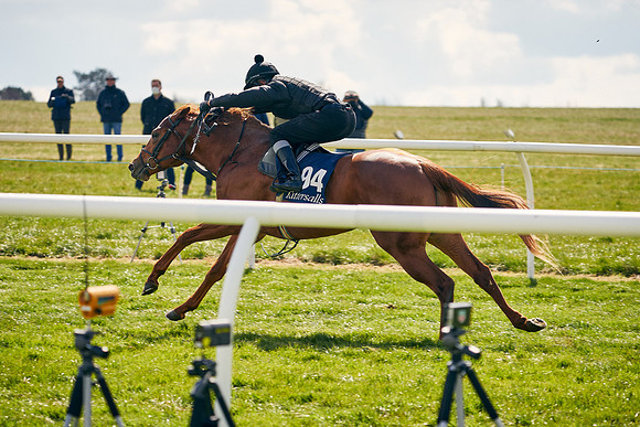 2021-04-12-Dominic-James-Craven-Breeze-Up-Sales-1165