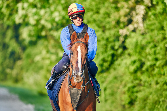 Stradivarius under Frankie