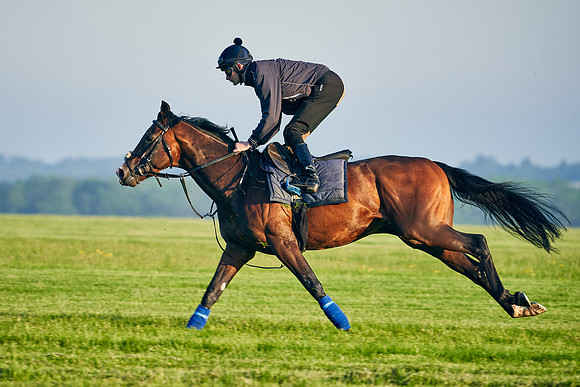 Megallan under Rab Havlin