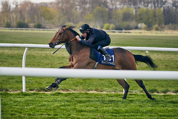 2021-04-12-Dominic-James-Craven-Breeze-Up-Sales-1209
