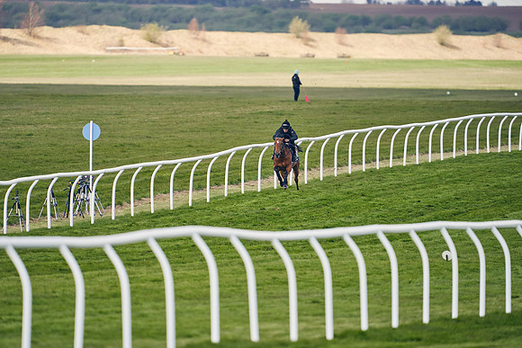 2021-04-12-Dominic-James-Craven-Breeze-Up-Sales-1231