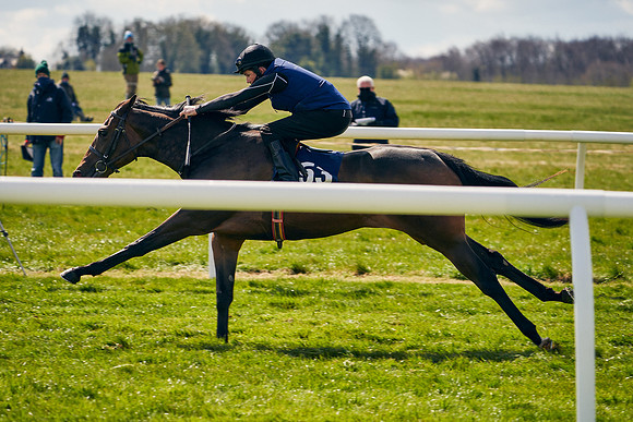 2021-04-12-Dominic-James-Craven-Breeze-Up-Sales-1134