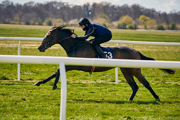 2021-04-12-Dominic-James-Craven-Breeze-Up-Sales-1129