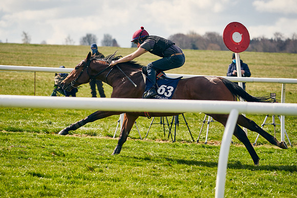 2021-04-12-Dominic-James-Craven-Breeze-Up-Sales-1181