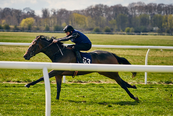 2021-04-12-Dominic-James-Craven-Breeze-Up-Sales-1127