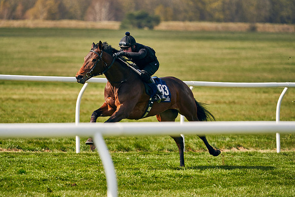 2021-04-12-Dominic-James-Craven-Breeze-Up-Sales-1185