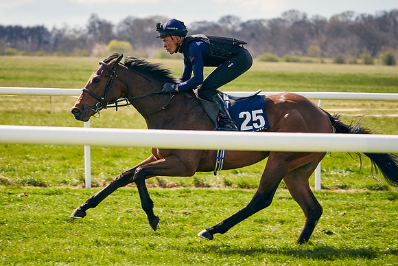 2021-04-12-Dominic-James-Craven-Breeze-Up-Sales-1103