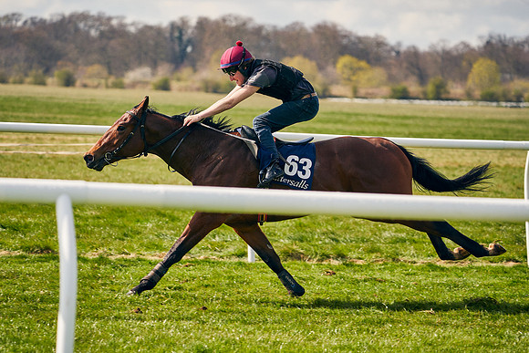 2021-04-12-Dominic-James-Craven-Breeze-Up-Sales-1174