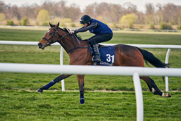 2021-04-12-Dominic-James-Craven-Breeze-Up-Sales-1250