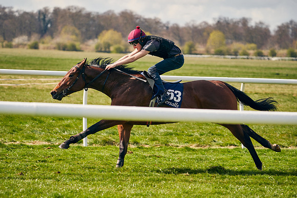 2021-04-12-Dominic-James-Craven-Breeze-Up-Sales-1173