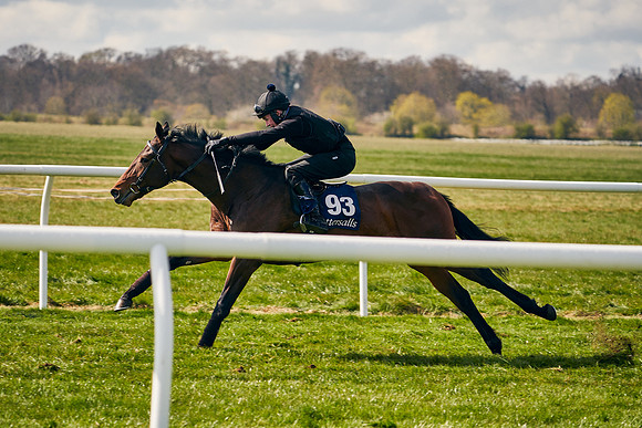 2021-04-12-Dominic-James-Craven-Breeze-Up-Sales-1191