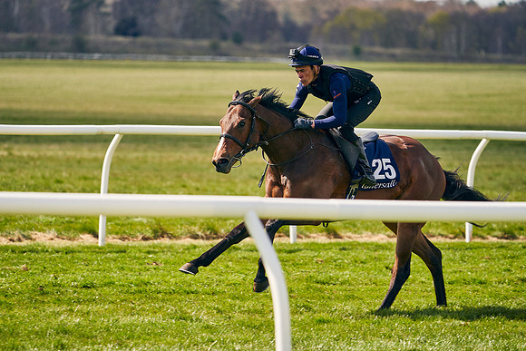 2021-04-12-Dominic-James-Craven-Breeze-Up-Sales-1101