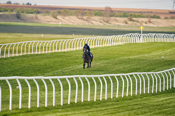 2021-04-12-Dominic-James-Craven-Breeze-Up-Sales-1098