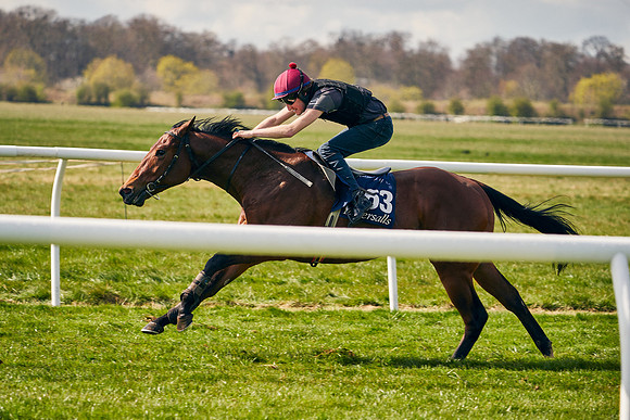 2021-04-12-Dominic-James-Craven-Breeze-Up-Sales-1172