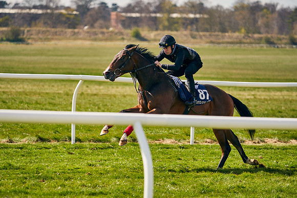 2021-04-12-Dominic-James-Craven-Breeze-Up-Sales-1141