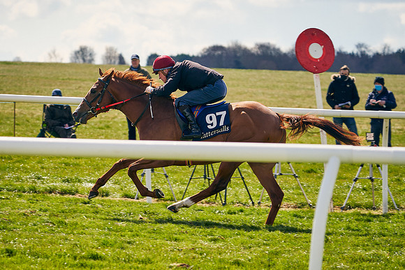 2021-04-12-Dominic-James-Craven-Breeze-Up-Sales-1122