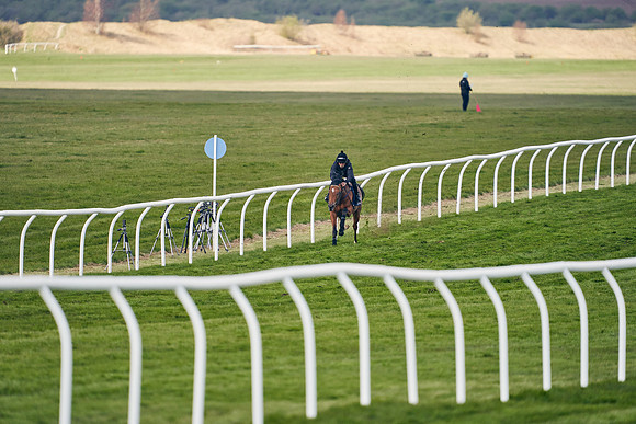 2021-04-12-Dominic-James-Craven-Breeze-Up-Sales-1232