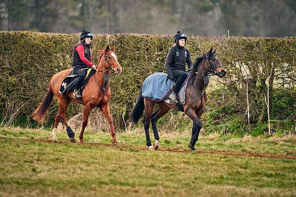 2021-02-17-Dominic-James-2359