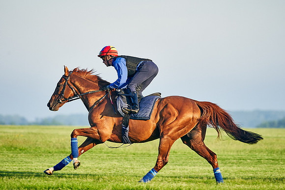 Stradivarius under Frankie