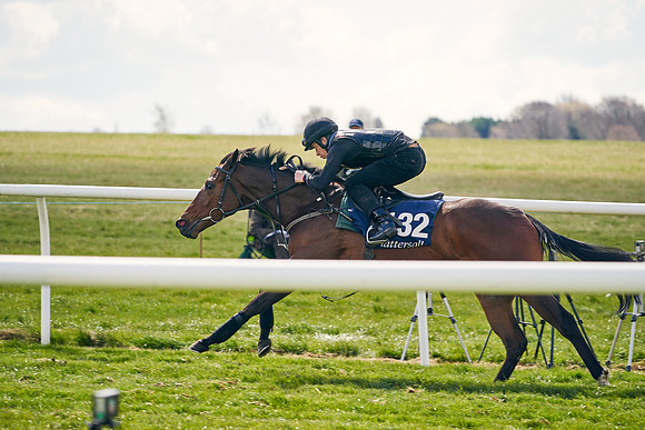 2021-04-12-Dominic-James-Craven-Breeze-Up-Sales-1096