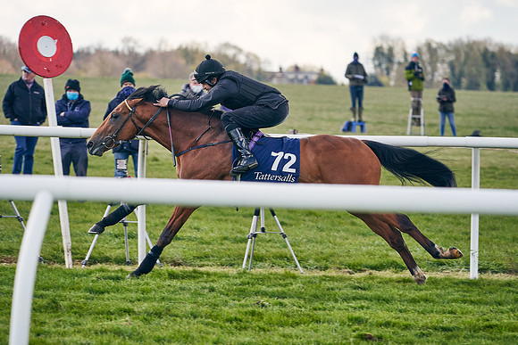 2021-04-12-Dominic-James-Craven-Breeze-Up-Sales-1242