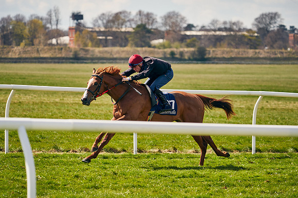 2021-04-12-Dominic-James-Craven-Breeze-Up-Sales-1113