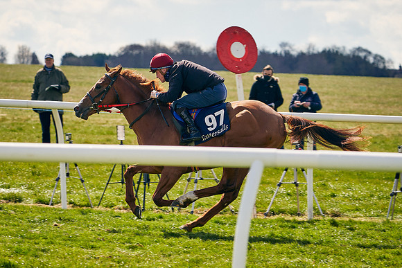 2021-04-12-Dominic-James-Craven-Breeze-Up-Sales-1121