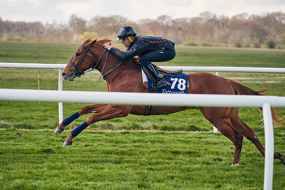 2021-04-12-Dominic-James-Craven-Breeze-Up-Sales-1226