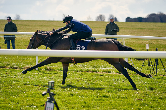2021-04-12-Dominic-James-Craven-Breeze-Up-Sales-1138