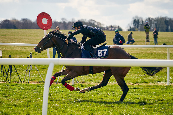 2021-04-12-Dominic-James-Craven-Breeze-Up-Sales-1147